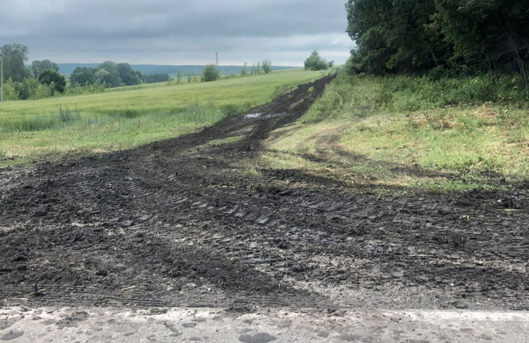 Shebekino district. A road after the passage of military vehicles