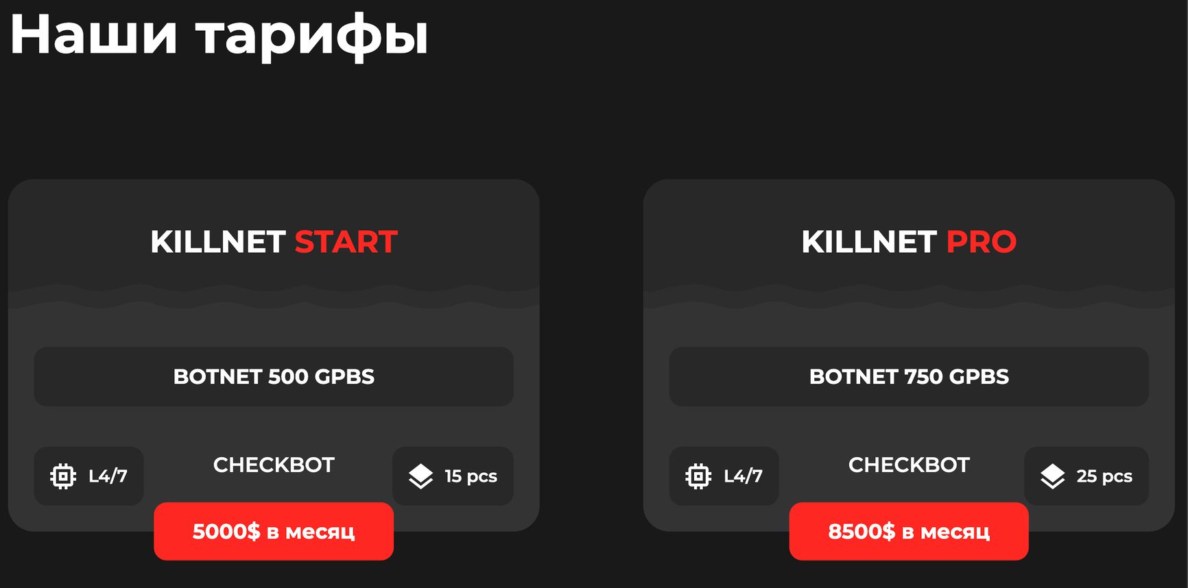 Скриншот архивной копии сайта Killnet